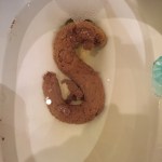 Sesame Street was brought to you today by the letter